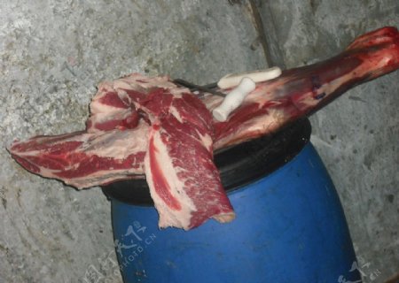 阿根廷牛肉图片