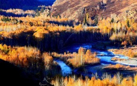 新疆自然美图片