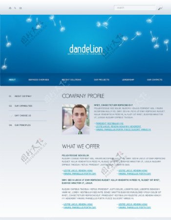 企业网站模板2图片