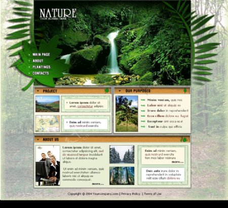 优美的自然风格的欧美网站图片
