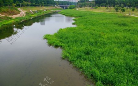 城市生态绿色河流图片