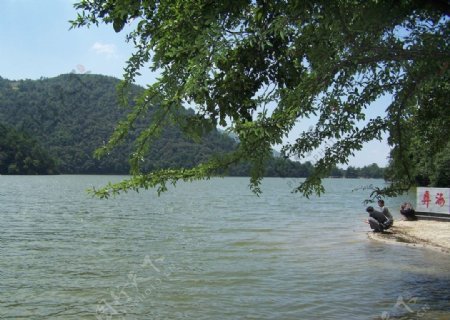湖泊的自然景观图片