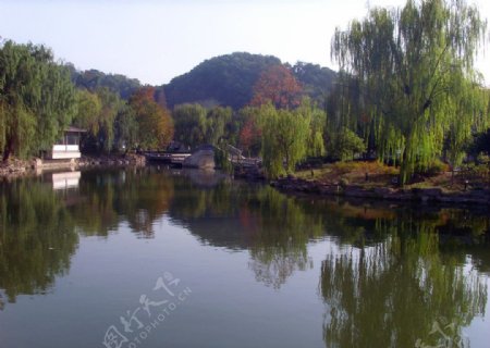 湖畔风景图片