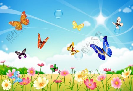 春天一群会飞的蝴蝶图片