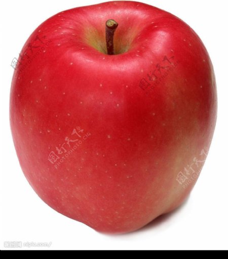 去底的大红苹果图片
