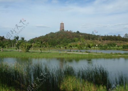 青青湖畔图片