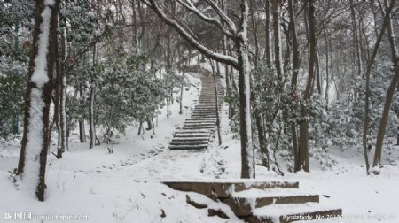 虞山小道雪景图片