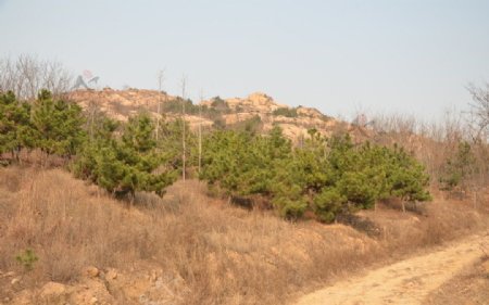 金家岭山远景图片