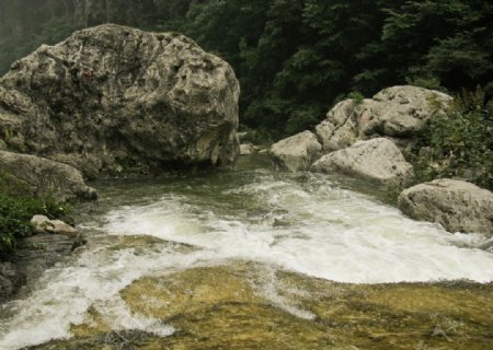 河边石头图片