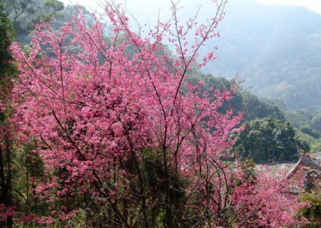 山野风光图片