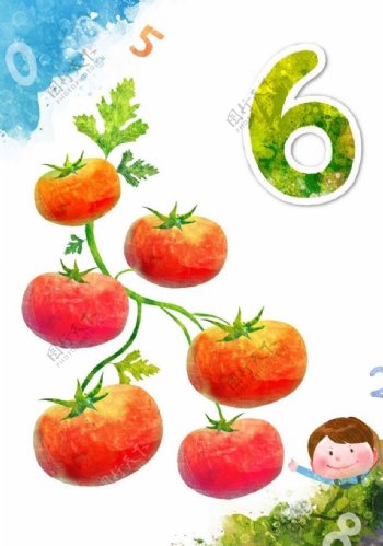 番茄蔬菜图片