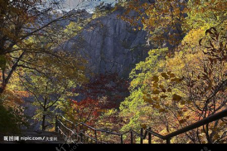秋色山景图片