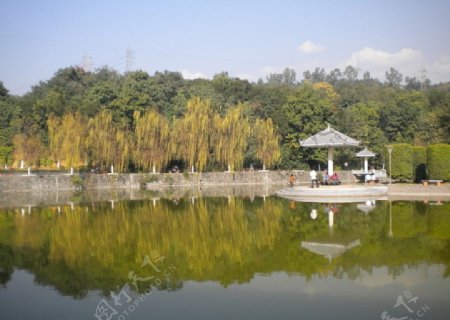 宁静湖泊图片