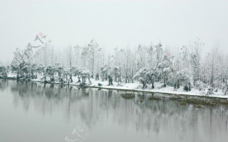 青弋江雪景图片