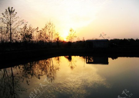 夕阳下的渔塘图片