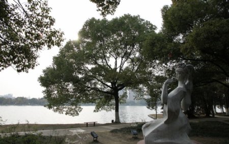 自拍的高清公园风景湖边大树和莫愁女雕塑图片