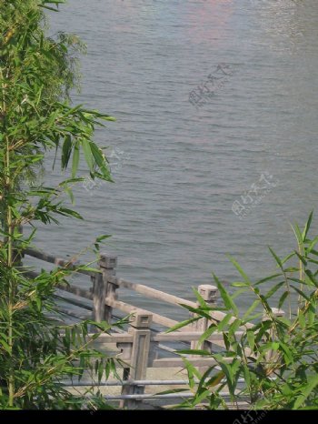 江滨湖畔一角图片
