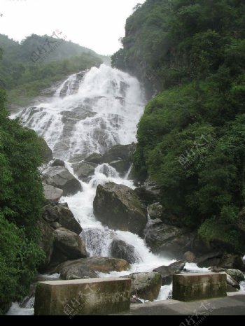 热带雨林山涧小溪图片