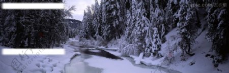冰封的溪流图片