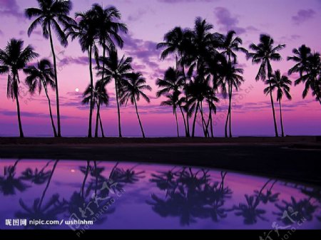 海边落日紫景图片