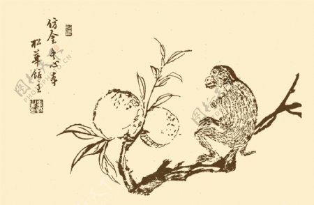 芥子园画谱猴子偷桃图片
