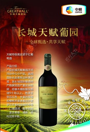中粮葡萄酒广告图片