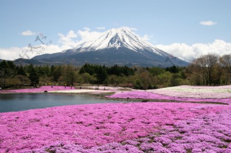 富士山景图片