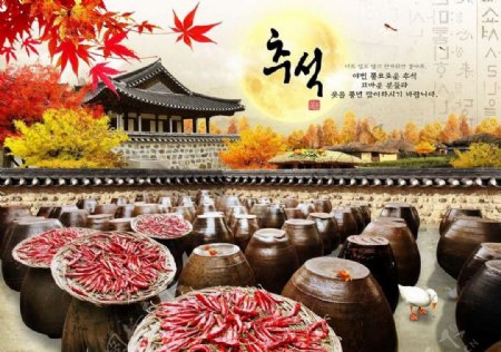 韩国泡菜素材图片