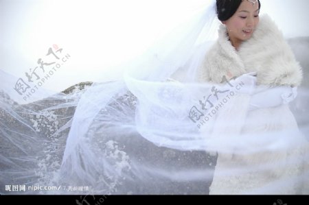 V2旅游婚纱之巴郎山图片