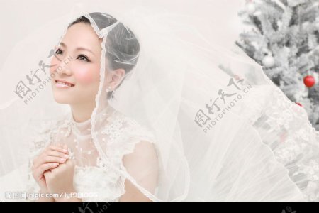 白色圣诞新娘2北京格林兄弟摄影图片