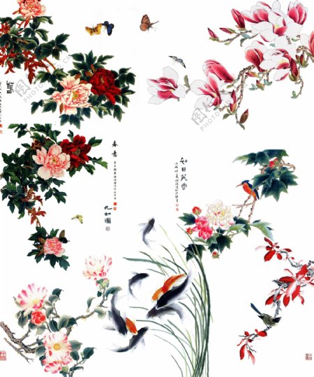 中国风工笔花鸟图片