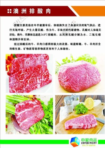 牛肉的价值图片