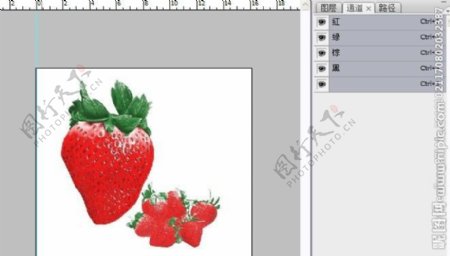 草莓通道分色图片