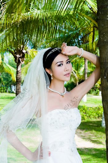 美丽新娘婚纱图片