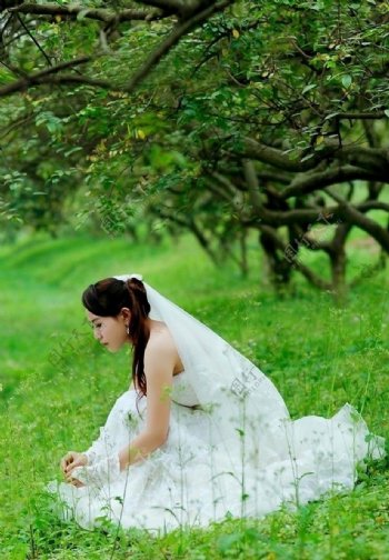 草地上的婚纱美女图片