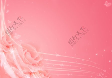 粉红色梦幻玫瑰花背景图片