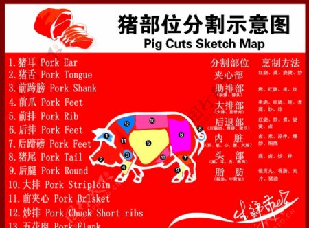 猪肉部位分解图图片