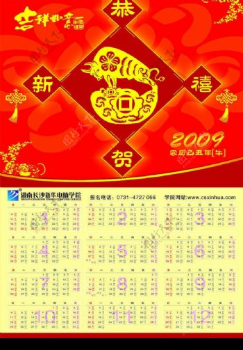 2009牛年年历图片