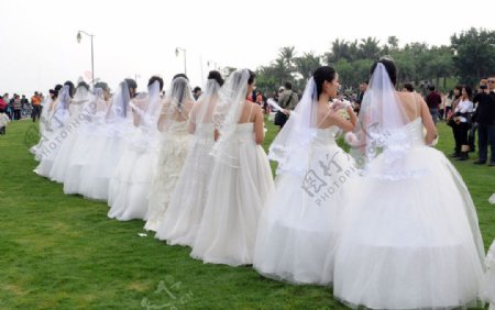 新娘婚纱照图片