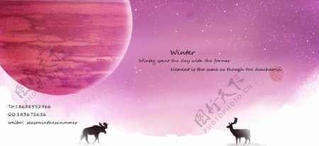 Winter冬麋鹿图片