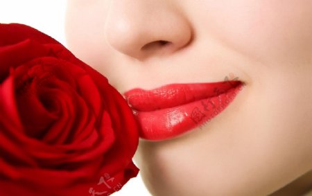 玫瑰花与美女嘴唇图片