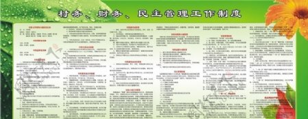 村政务财务民主管理工作制度图片