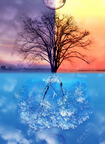 对称树木幻像特效图片