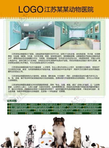 宠物医院宣传单图片