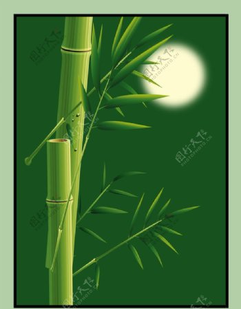 翠绿竹子装饰画素材图片