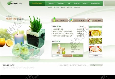 绿色健康美容食品网页模板图片