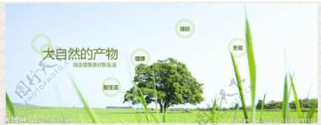 绿色生态banner图片
