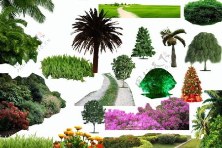 建筑植物素材图片