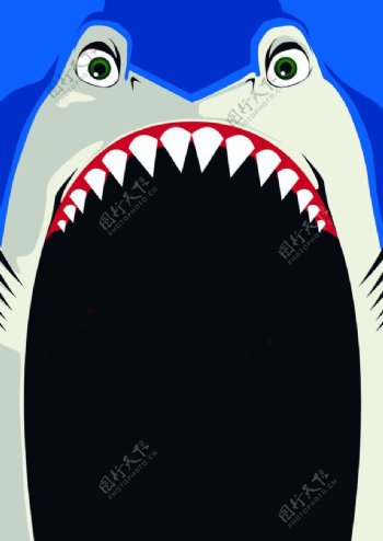 鲨鱼头图片