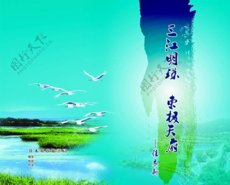 三江湿地封面图片